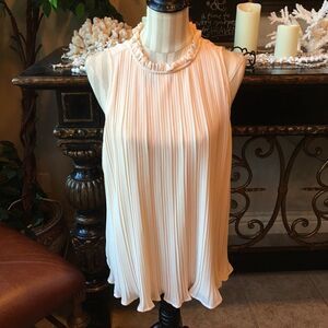 GORGEOUS PLEATED Blush Blouse